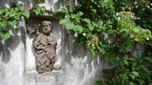 Maternushof-Garten-9-50